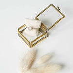 Afbeelding in Gallery-weergave laden, Erminia
