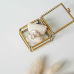 Afbeelding in Gallery-weergave laden, Erminia
